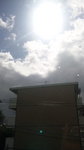 台風一過