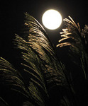 moon.jpg